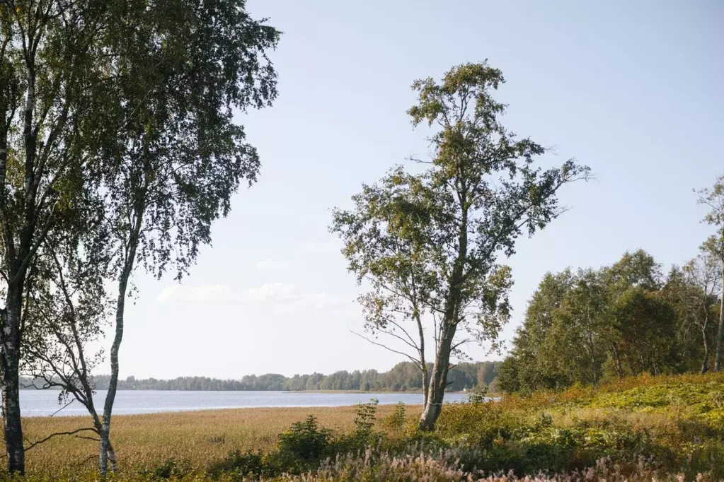 Участок в Ленинградская область, Выборгский район, Полянское с/пос, ... - Фото 1