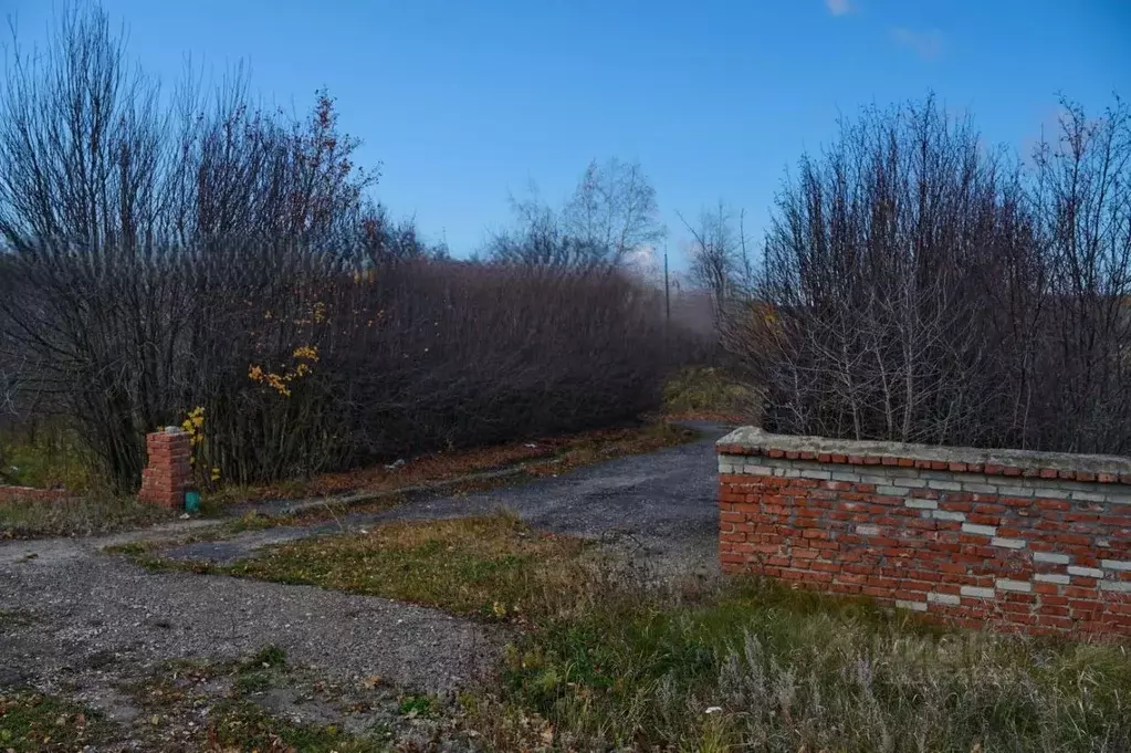 Участок в Пензенская область, Сердобский район, Сазанский сельсовет, ... - Фото 2