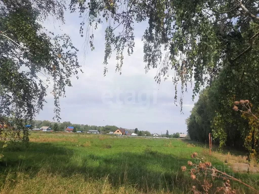 Участок в Алтайский край, Алтайский район, с. Алтайское ул. Зеленый ... - Фото 1