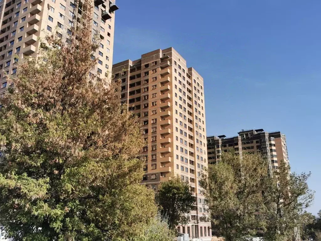 2-к кв. Липецкая область, Липецк Московская ул., 155 (59.3 м) - Фото 0