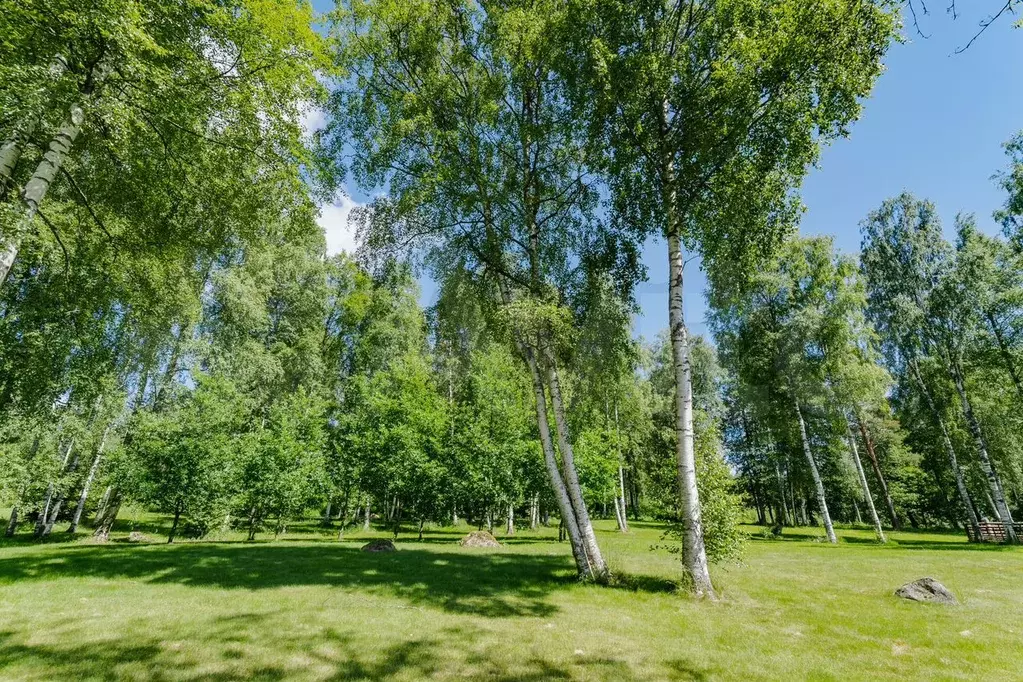 Участок 1,7 га (ИЖС) - Фото 1