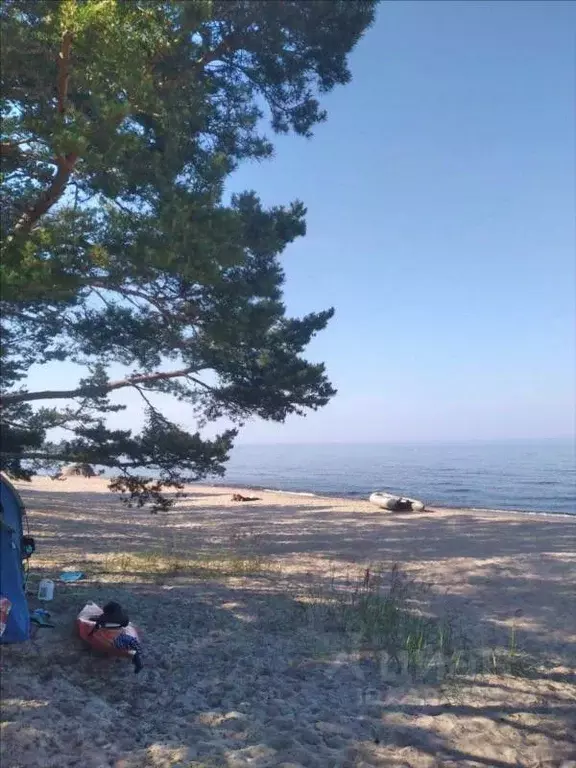 Участок в Ленинградская область, Приозерский район, Ларионовское ... - Фото 1