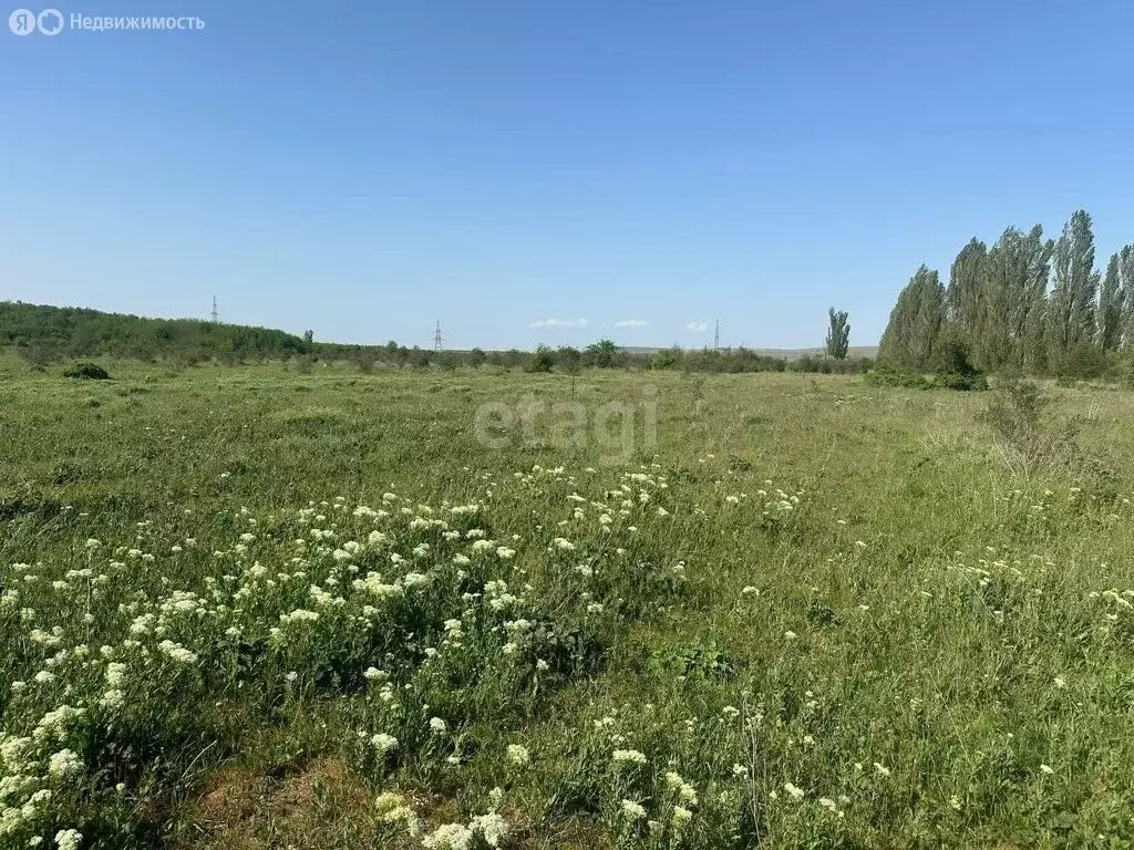 Участок в Белогорский район, село Ароматное (15 м) - Фото 1