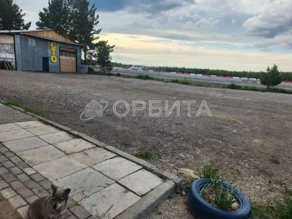 Помещение свободного назначения в Свердловская область, Тугулымский ... - Фото 1