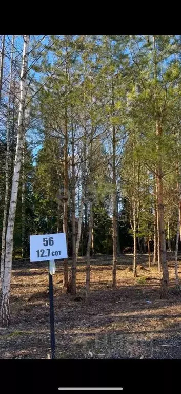 Участок в Московская область, Ступино городской округ, д. Дубечино  ... - Фото 0