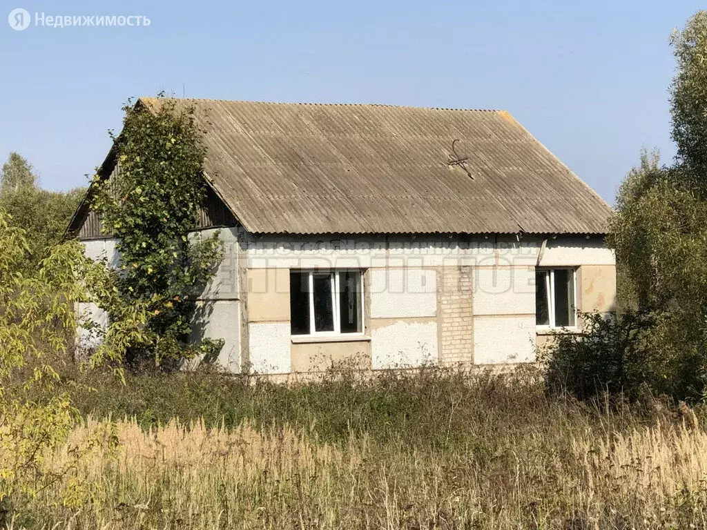 Купить Дачу В Смоленске С Электричеством