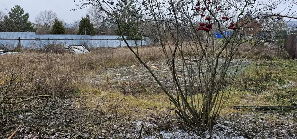 Участок в Московская область, Луховицы муниципальный округ, с. ... - Фото 1