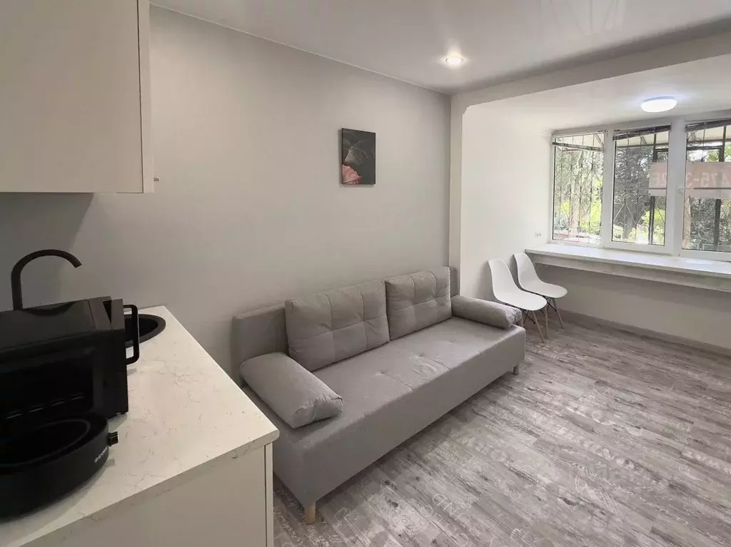 Студия Краснодарский край, Сочи Курортный просп., 98/100 (18.0 м) - Фото 2