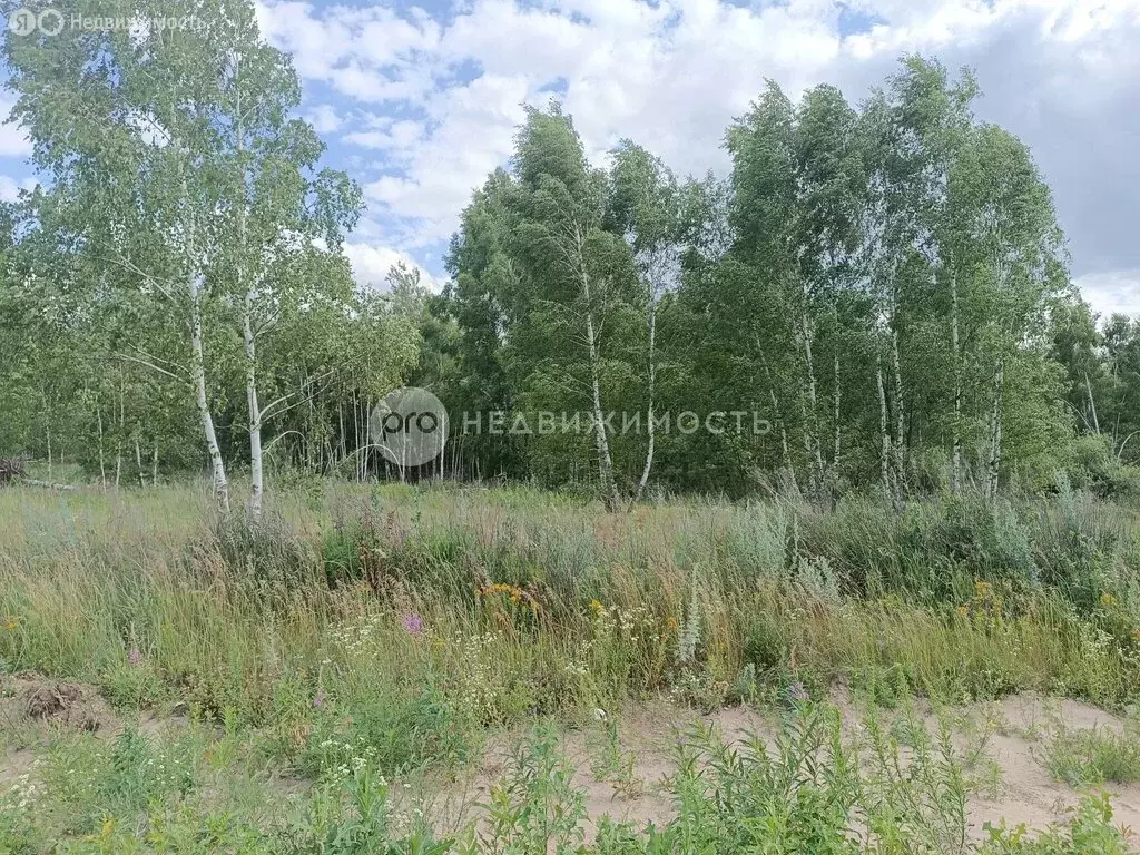 Участок в Варские, коттеджный поселок Князской Починок (12 м) - Фото 0