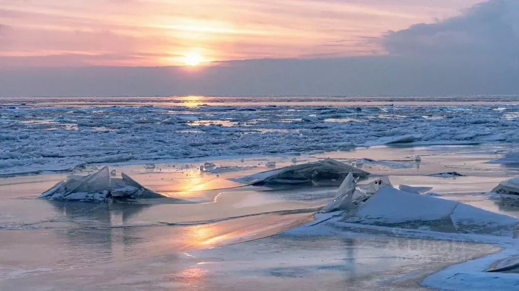 Участок в Санкт-Петербург пос. Солнечное,  (20.0 сот.) - Фото 1