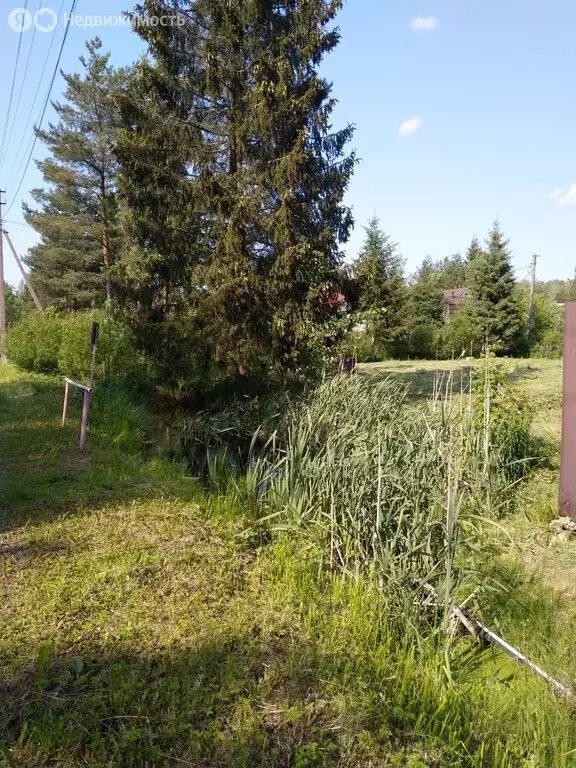 Участок в Ленинградская область, Тосненское городское поселение, ... - Фото 1