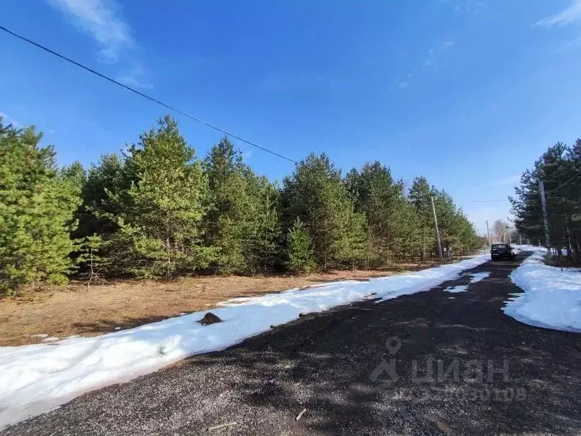 Участок в Московская область, Лотошино муниципальный округ, с. ... - Фото 1
