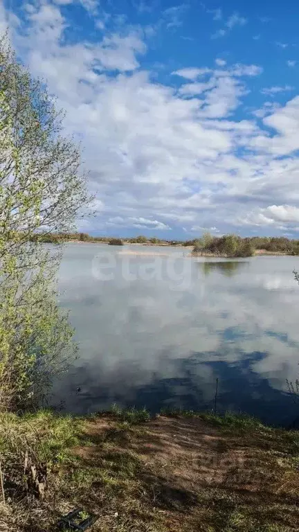 Участок в Ярославская область, Ярославский муниципальный округ, д. ... - Фото 1