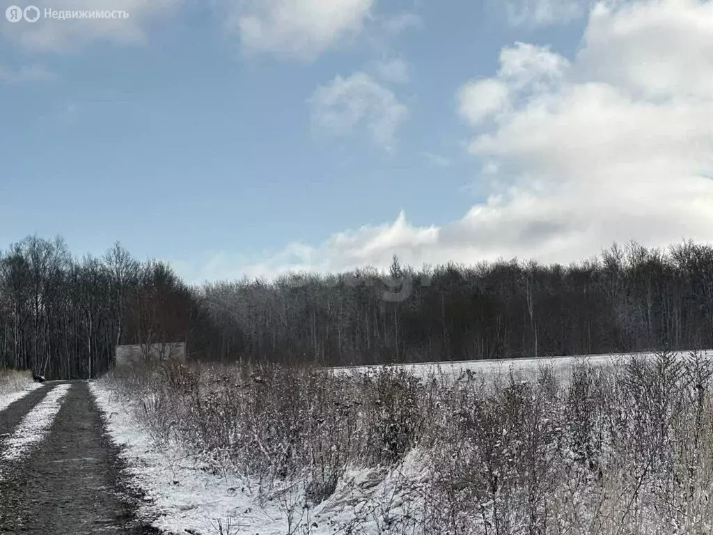 Участок в деревня Старая Чекаевка, Нагорная улица (9 м) - Фото 2