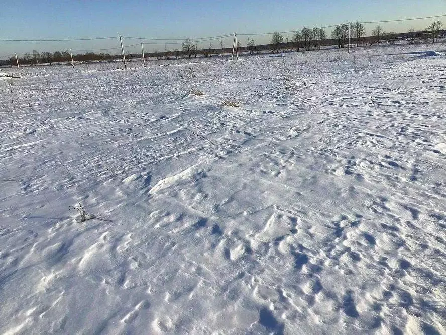 Участок в Московская область, Сергиево-Посадский городской округ, д. ... - Фото 2