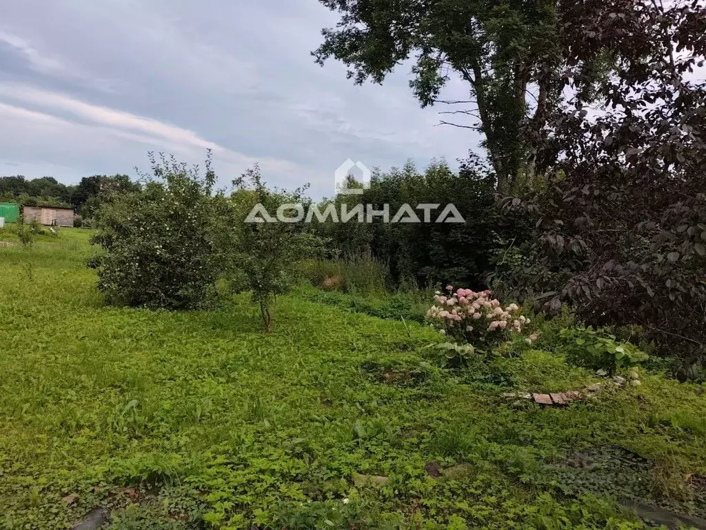 Дом в Новгородская область, Батецкий муниципальный округ, д. Русыня ... - Фото 2