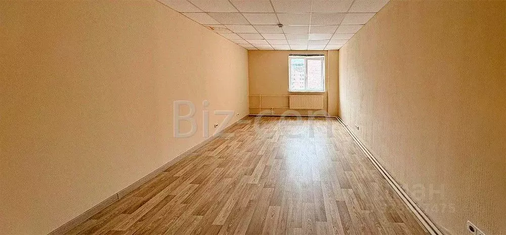 Офис в Санкт-Петербург просп. Малый Васильевского острова, 58 (50 м) - Фото 2