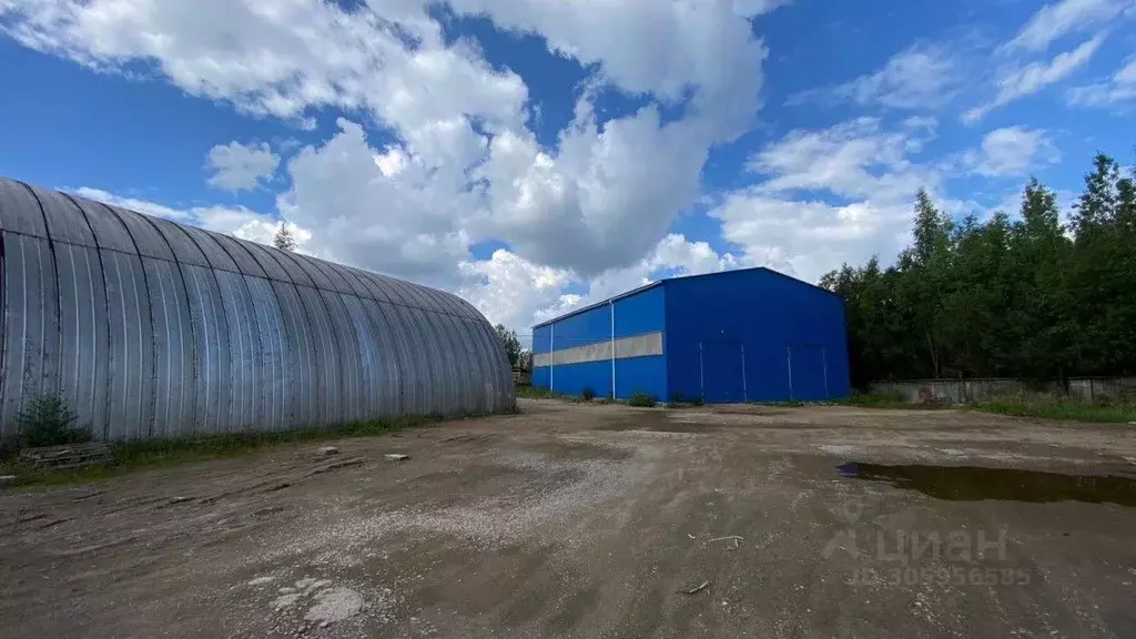 Склад в Новгородская область, Новгородский район, Панковское городское ... - Фото 1
