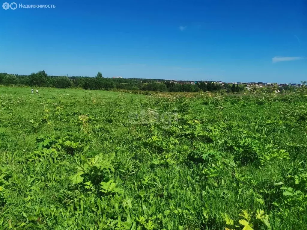 Участок в Республика Коми, муниципальный район Сыктывдинский, ... - Фото 1