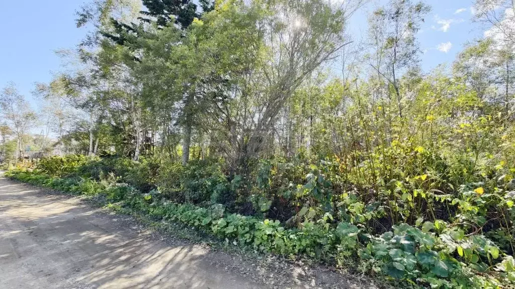 Участок в Сахалинская область, Южно-Сахалинск  (9.98 сот.) - Фото 1