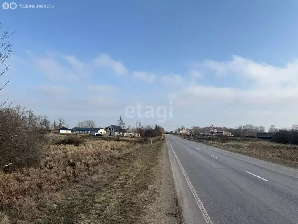 Участок в Калининградская область, Гурьевский муниципальный округ, ... - Фото 1