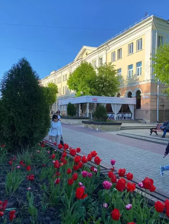 Помещение свободного назначения в Орловская область, Орел ул. Ленина, ... - Фото 1