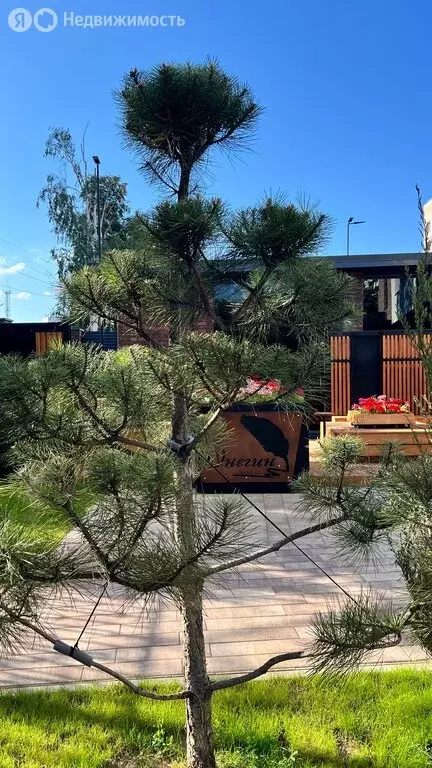 3-комнатная квартира: Чебоксары, улица Константина Иванова, 74 (119 м) - Фото 1