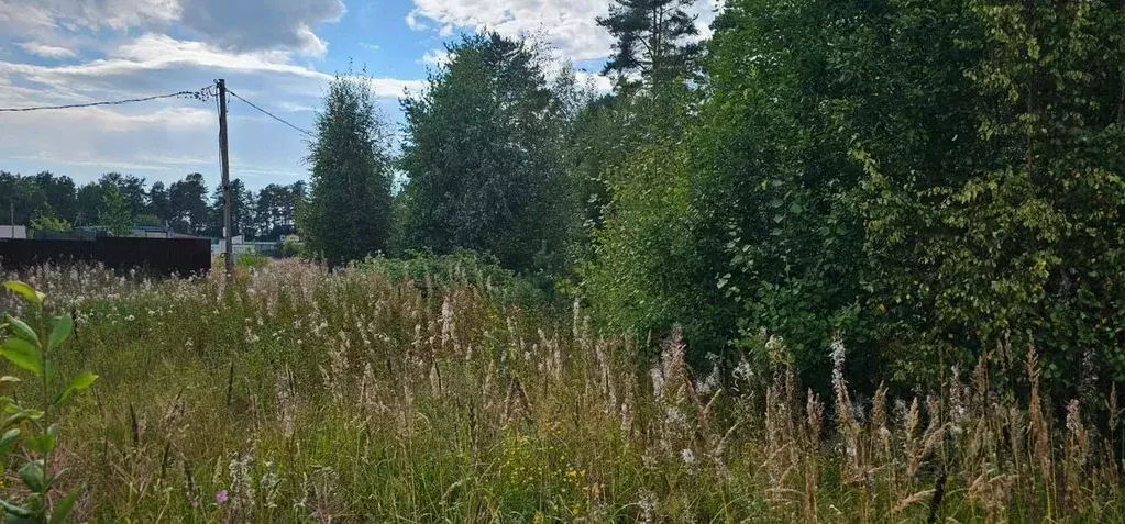 Участок в Ленинградская область, Выборгский район, Полянское с/пос, ... - Фото 2