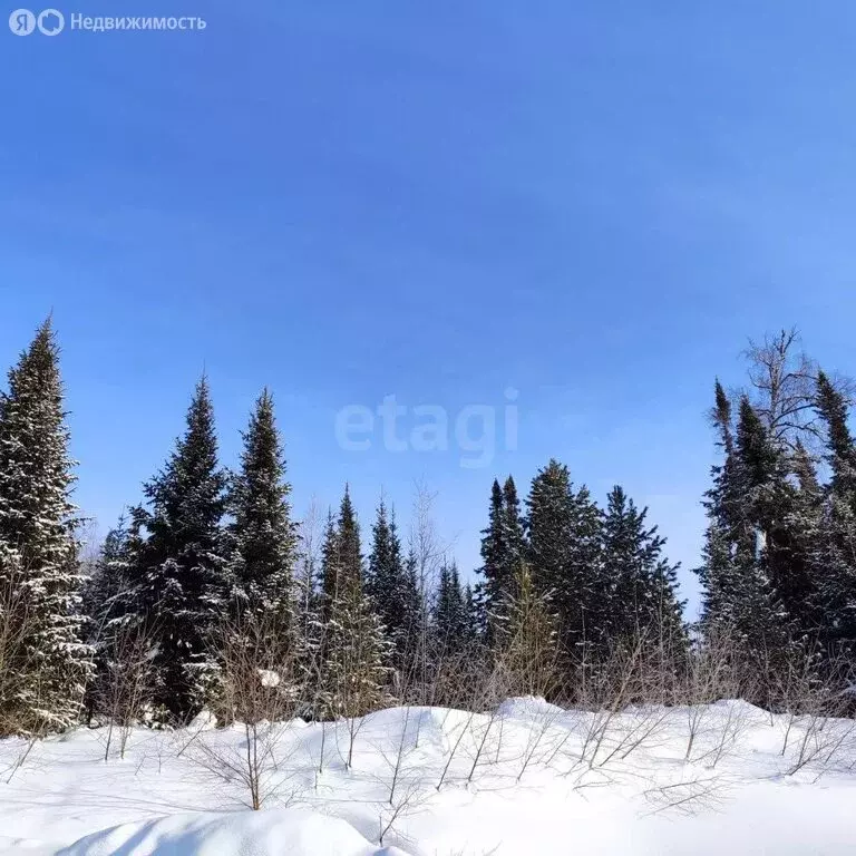 Участок в Таштагол, микрорайон Каменушка (15 м) - Фото 1