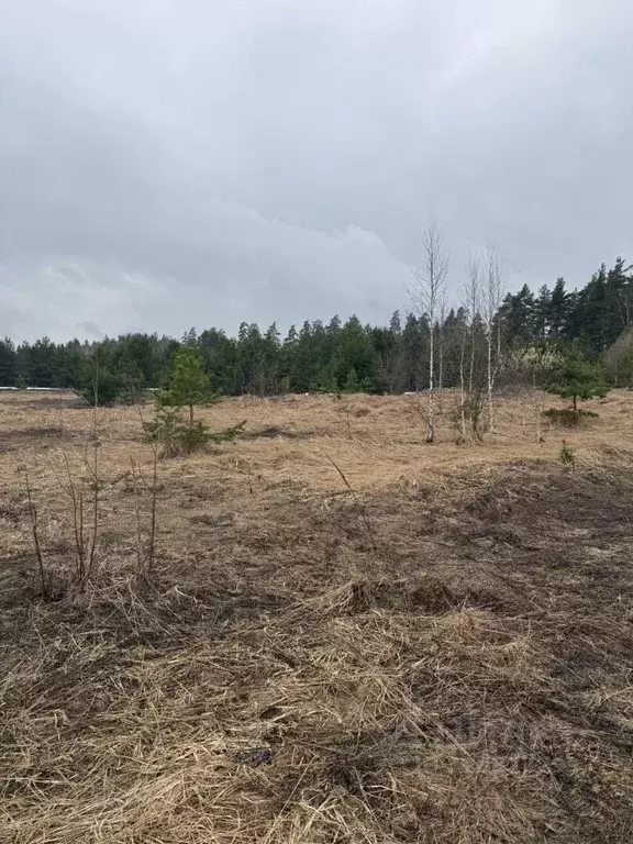 Участок в Московская область, Орехово-Зуевский городской округ, д. ... - Фото 1
