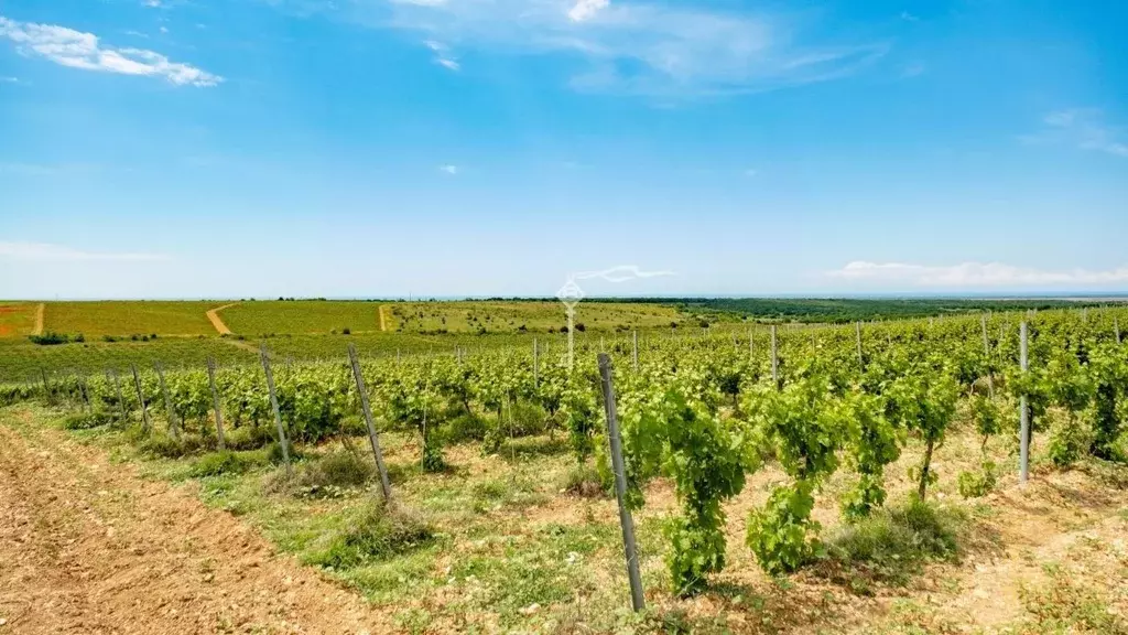 Участок в Севастополь с. Верхнесадовое,  (500.0 сот.) - Фото 1