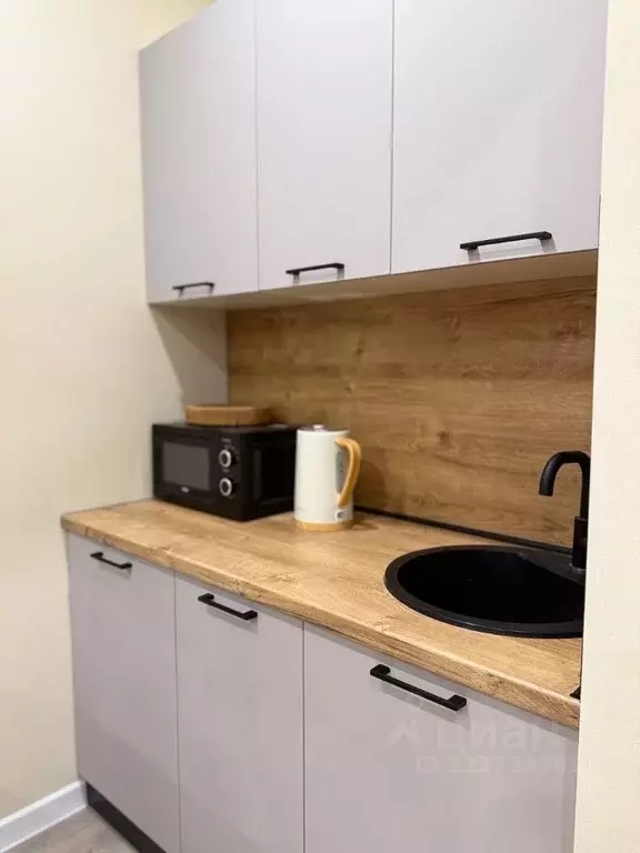 Студия Краснодарский край, Сочи Бытха мкр, ул. Ясногорская, 16/2к6 ... - Фото 2