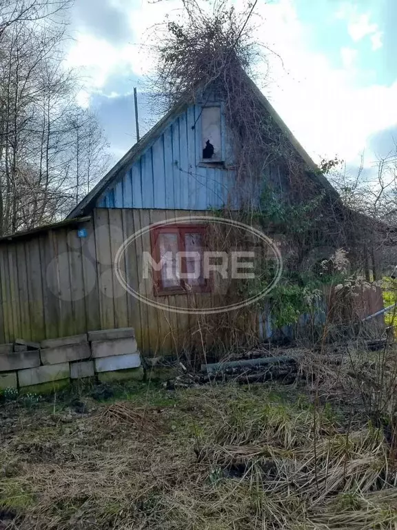 Участок 11 сот. (СНТ, ДНП) - Фото 1