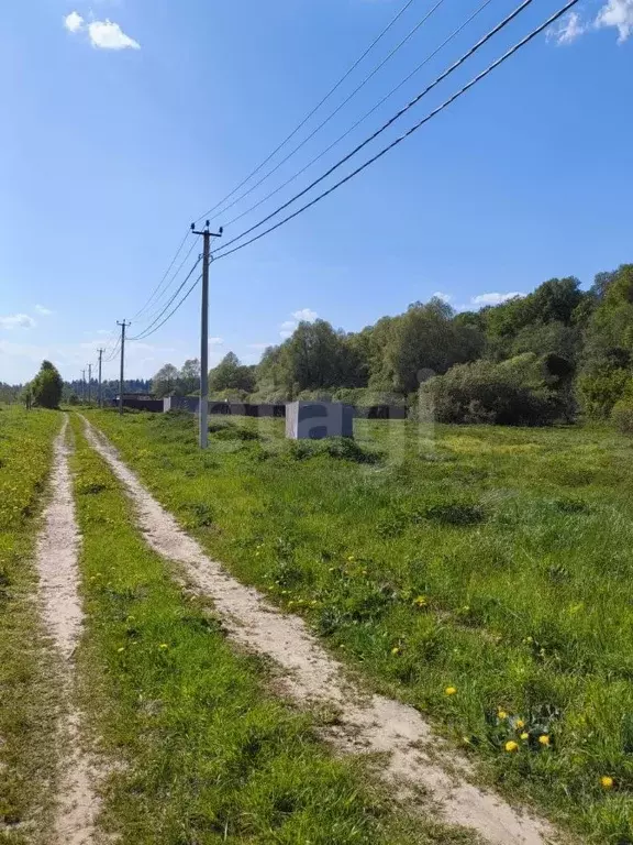 Участок в Калужская область, Боровский муниципальный округ, ... - Фото 1