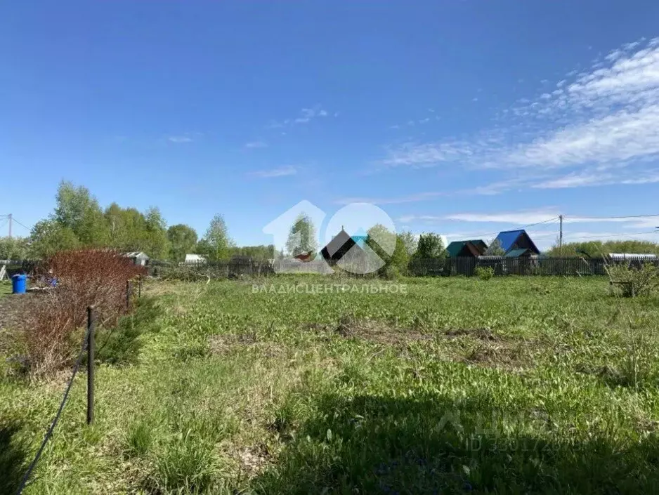 Участок в Новосибирская область, Бердск Ива СНТ, ул. 15-я, 31 (7.7 ... - Фото 2