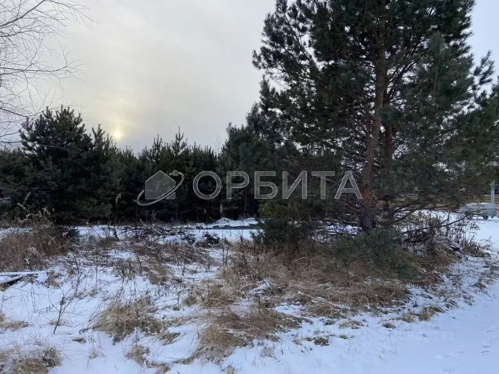 Участок в Тюменская область, Тюменский муниципальный округ, д. ... - Фото 1