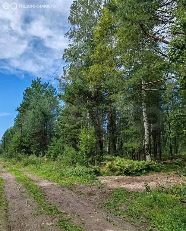 Участок в Иркутск, Лиственничная улица (15 м) - Фото 0