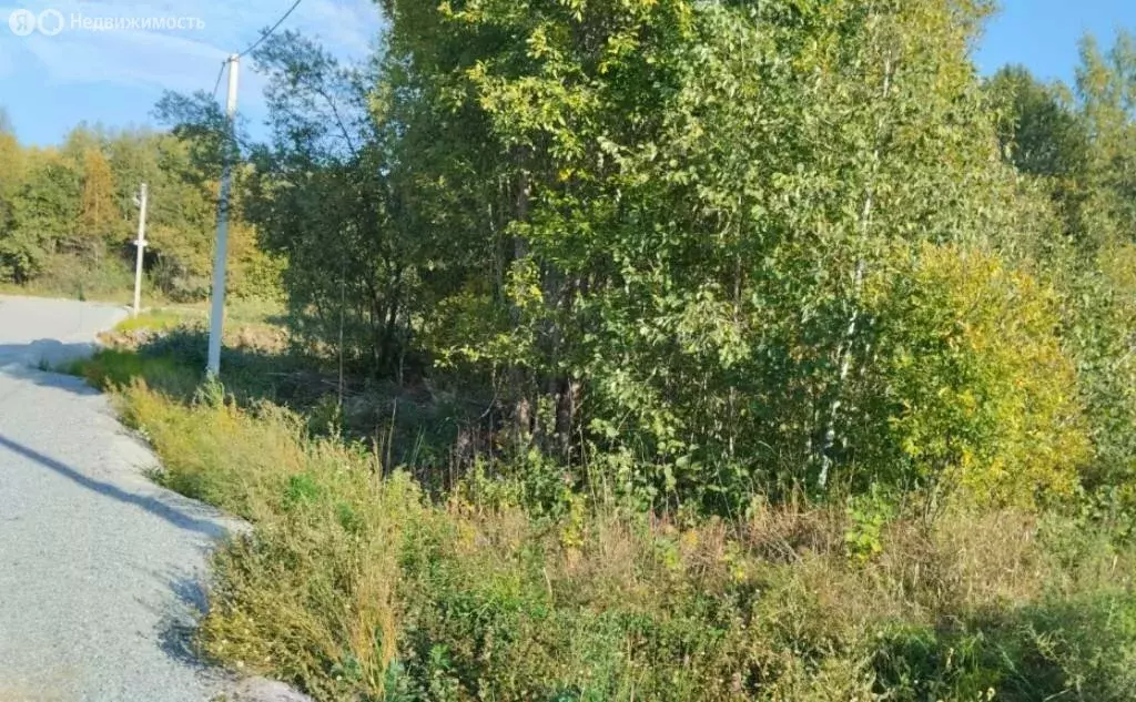 участок в приозерский район, кузнечнинское городское поселение, . - Фото 0