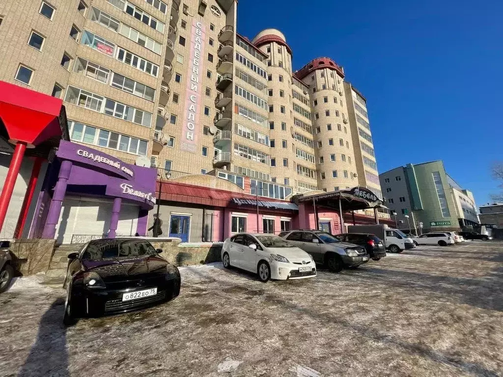 Помещение свободного назначения в Забайкальский край, Чита ул. ... - Фото 1