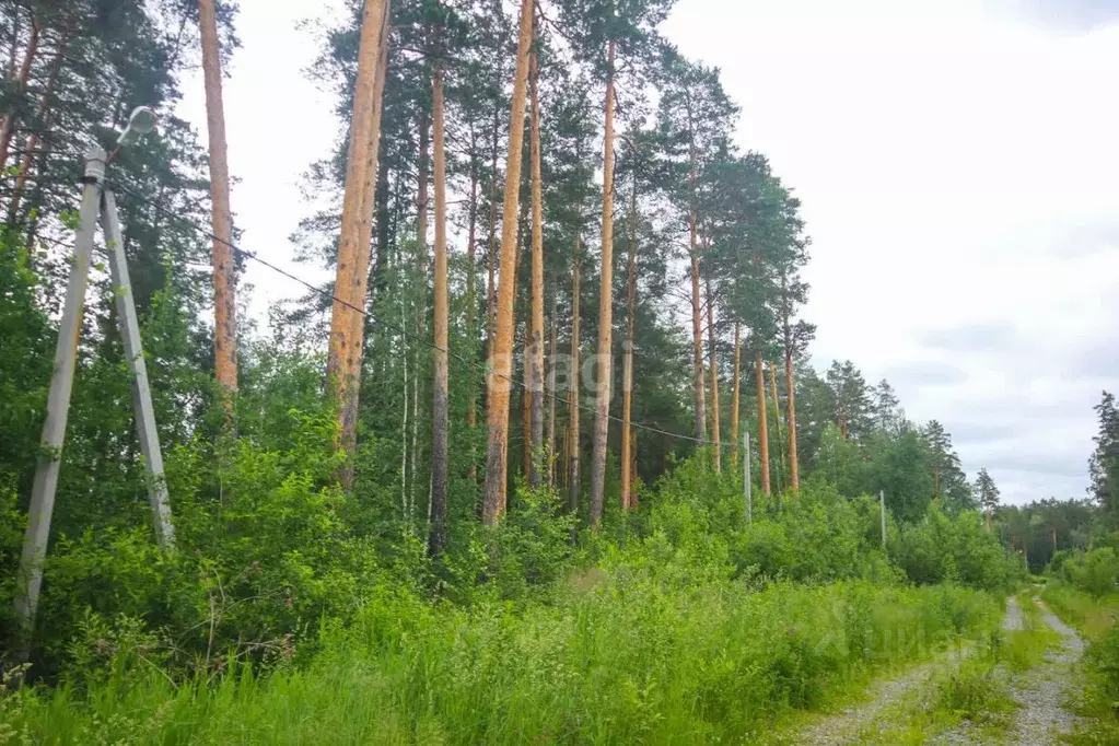 Участок в Свердловская область, Екатеринбург Восточный берег мкр,  ... - Фото 0