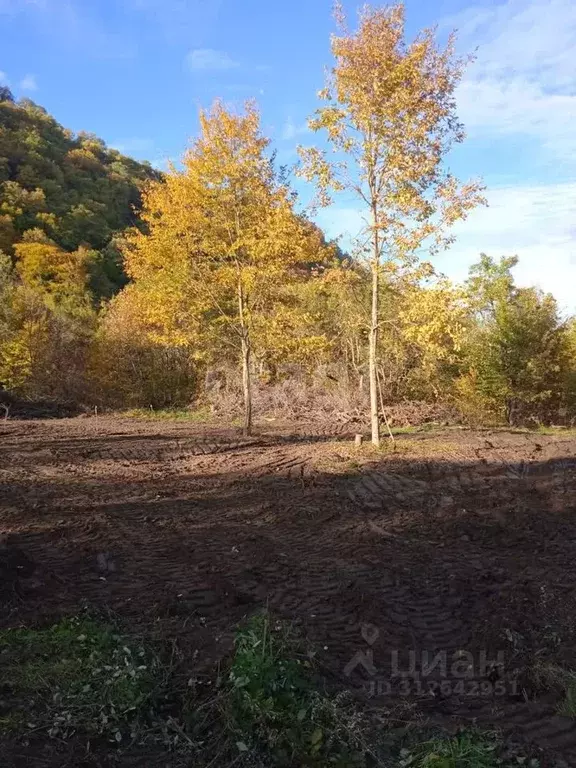 Участок в Адыгея, Майкопский район, пос. Каменномостский ул. Мира ... - Фото 0