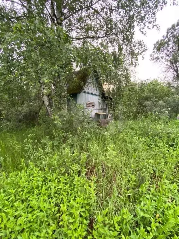 Участок в Вологодская область, Вологда Сохатый садоводческое ... - Фото 0