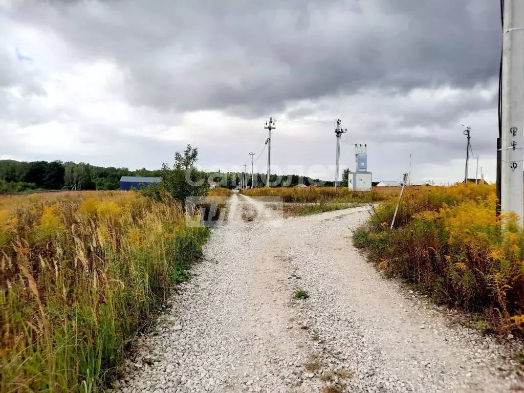 Участок в Московская область, Серпухов городской округ, д. Большое ... - Фото 1