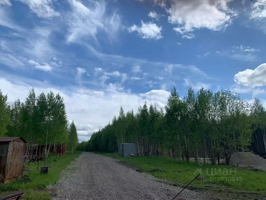 Участок в Кемеровская область, Кемеровский муниципальный округ, с. ... - Фото 0