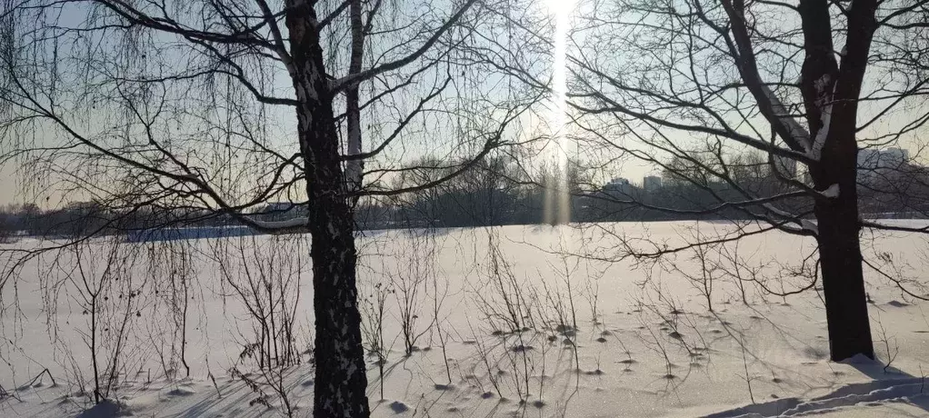 Участок в Московская область, Щелково  (6.0 сот.) - Фото 1