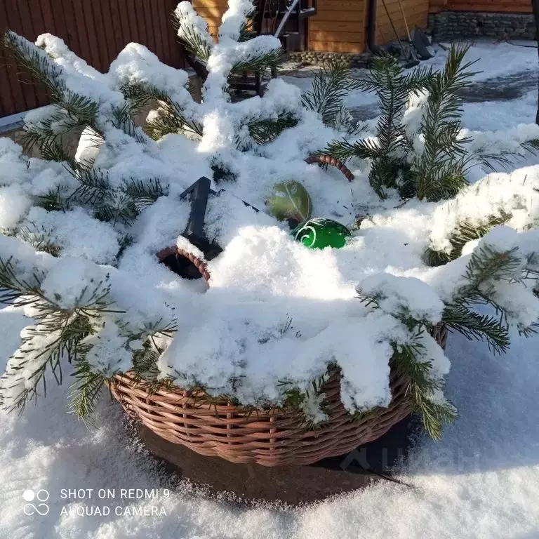 Дом в Алтай, Чемальский район, с. Чемал Курортная ул., 34 (70 м) - Фото 1