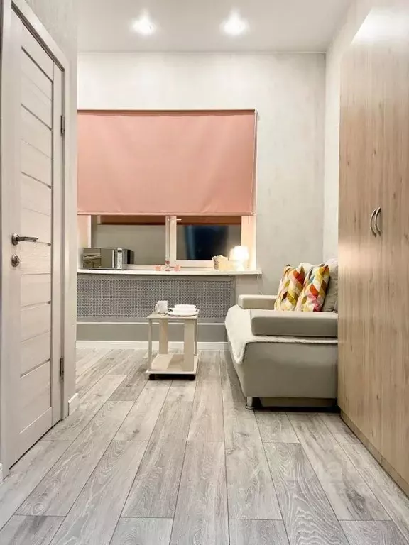 Студия Москва ул. 2-я Энтузиастов, 5к39 (22.0 м) - Фото 0