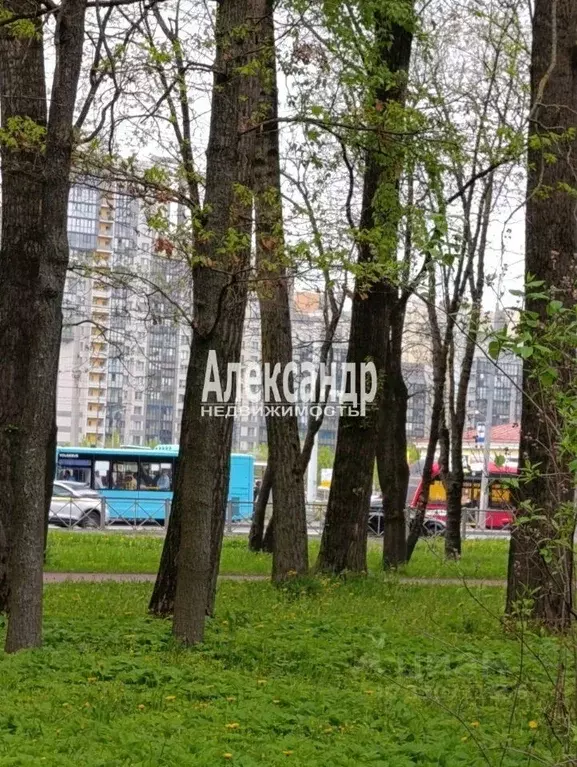 Комната Санкт-Петербург ул. Чекистов, 44 (13.5 м) - Фото 2