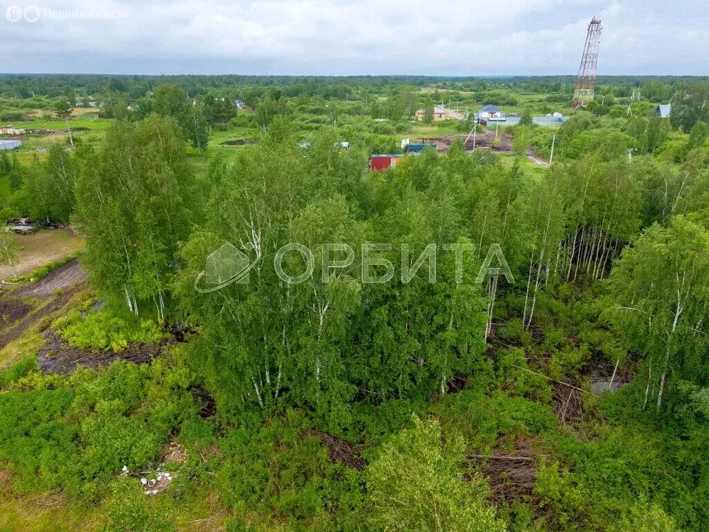Участок в Тюмень, СНТ Ясень (8 м) - Фото 2