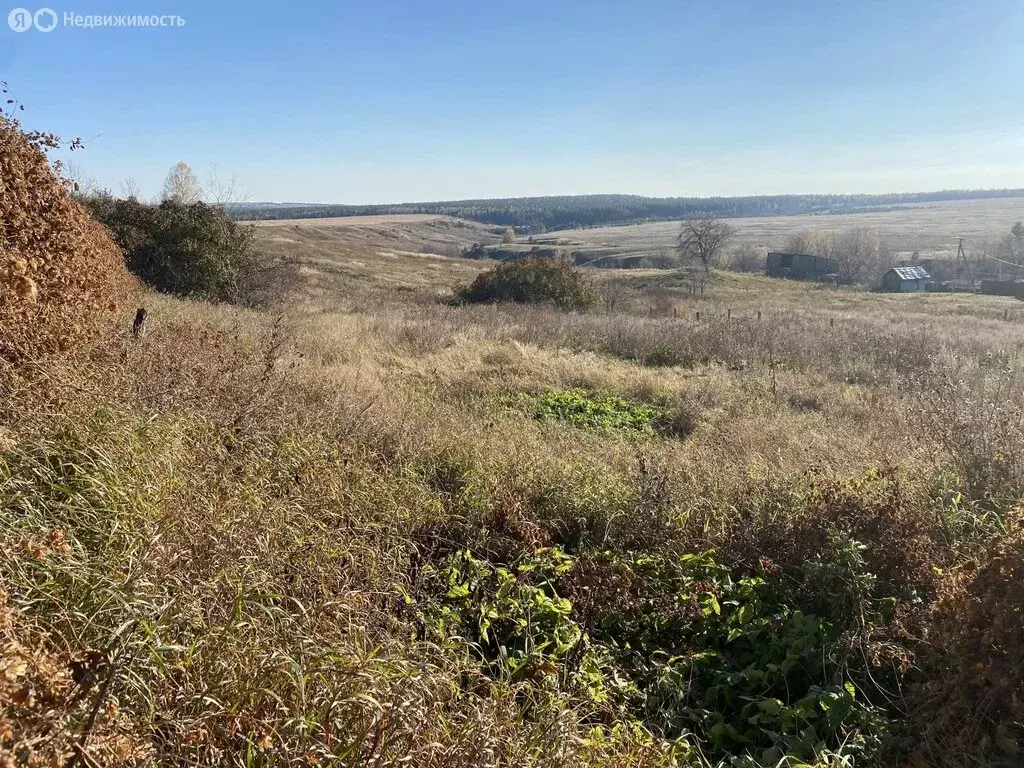 Участок в Бирский район, Силантьевский сельсовет, село Силантьево (11 ... - Фото 1